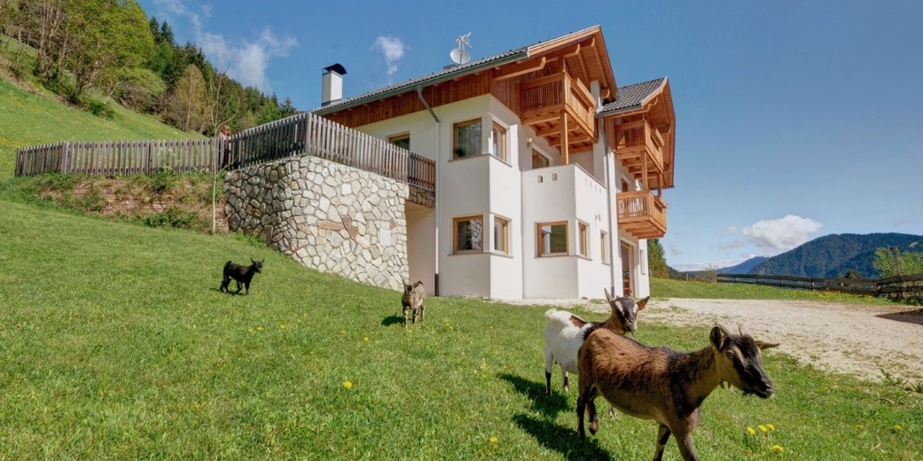 The house has been newly built and is 1 km from the village centre