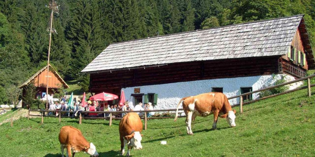 Die Kölblalm liegt mitten auf der weithin bekannten Johnsbacher Almrunde