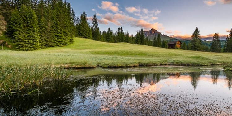 Protected headwaters of Les Cialdires