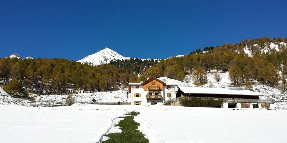 Der Hof am Winterbeginn