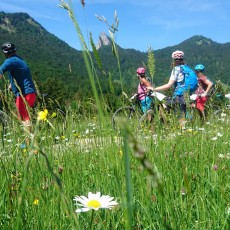 Mountainbike und Natur rund um Kreuth