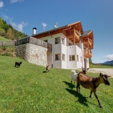 The house has been newly built and is 1 km from the village centre