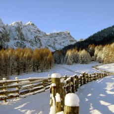 Beautiful winter hiking trails