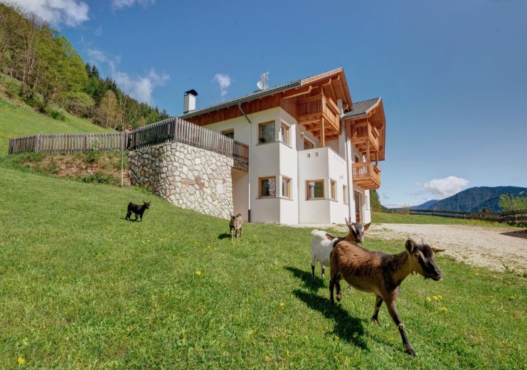 The house has been newly built and is 1 km from the village centre